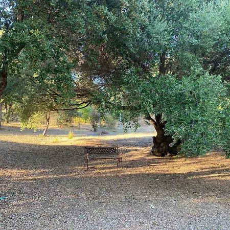 Li Paduleddi Country 3* Olbia