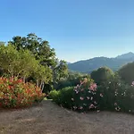 Li Paduleddi Country 3* Όλμπια